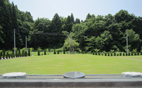 やすらぎ霊園樹木葬の風景